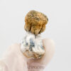 Avalanche Organic Magic Mushrooms