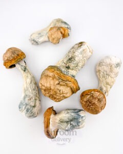 a group of code blue mushrooms on a white surface