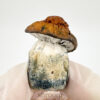 Bluey Vuitton Organic Magic Mushrooms